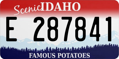 ID license plate E287841