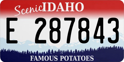 ID license plate E287843