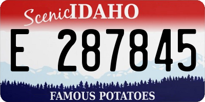 ID license plate E287845