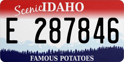 ID license plate E287846