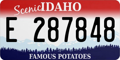 ID license plate E287848