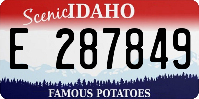 ID license plate E287849