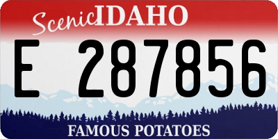 ID license plate E287856