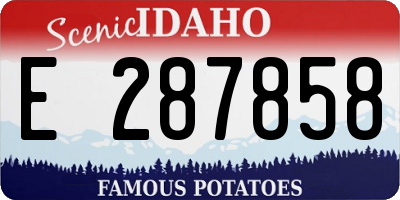 ID license plate E287858