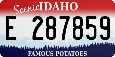 ID license plate E287859