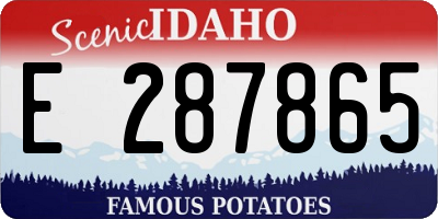 ID license plate E287865