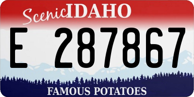 ID license plate E287867