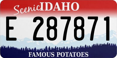 ID license plate E287871