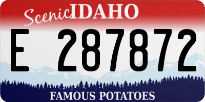 ID license plate E287872