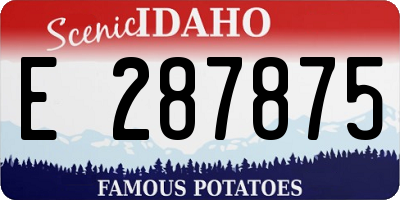 ID license plate E287875