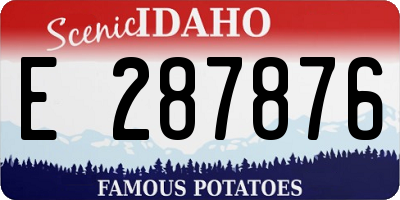 ID license plate E287876