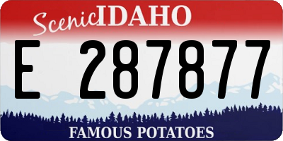 ID license plate E287877