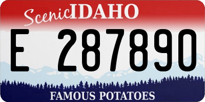 ID license plate E287890