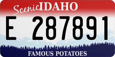 ID license plate E287891