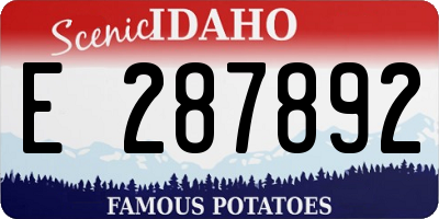 ID license plate E287892