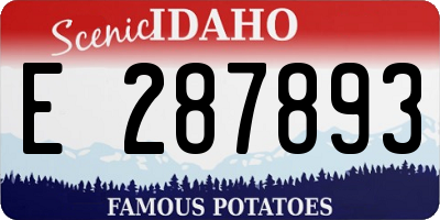 ID license plate E287893
