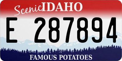 ID license plate E287894