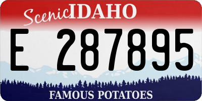 ID license plate E287895