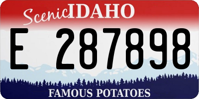 ID license plate E287898