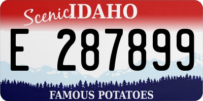 ID license plate E287899