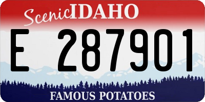 ID license plate E287901