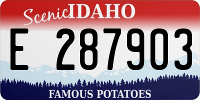 ID license plate E287903