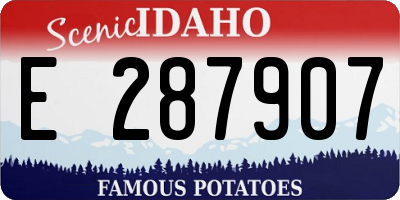 ID license plate E287907