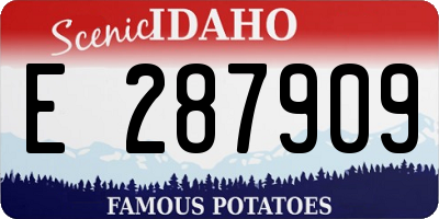 ID license plate E287909