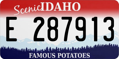 ID license plate E287913