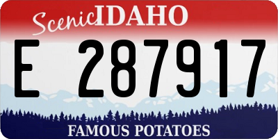 ID license plate E287917
