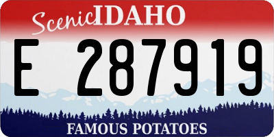 ID license plate E287919