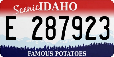ID license plate E287923