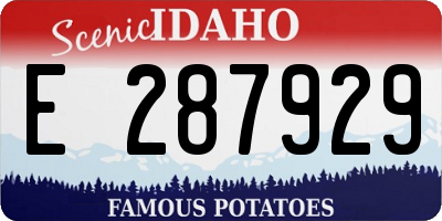 ID license plate E287929