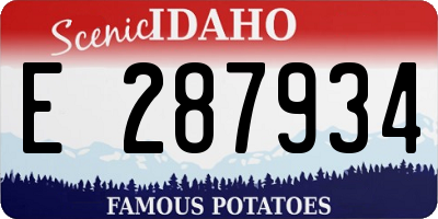 ID license plate E287934