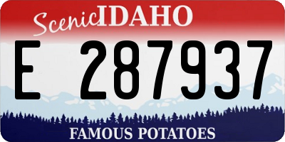 ID license plate E287937