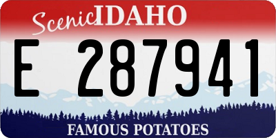 ID license plate E287941