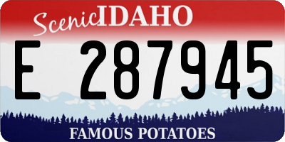 ID license plate E287945