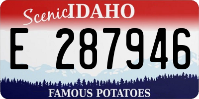 ID license plate E287946