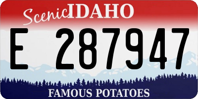 ID license plate E287947