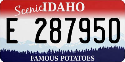 ID license plate E287950