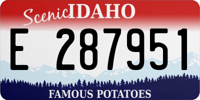 ID license plate E287951