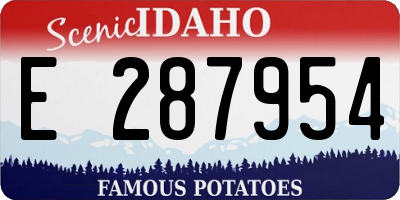 ID license plate E287954