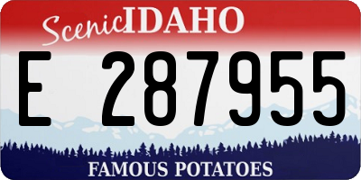 ID license plate E287955