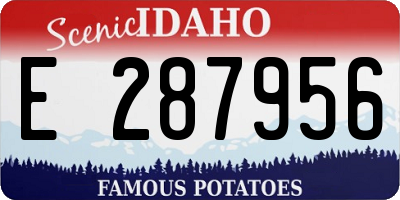 ID license plate E287956
