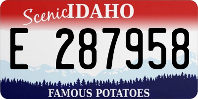 ID license plate E287958