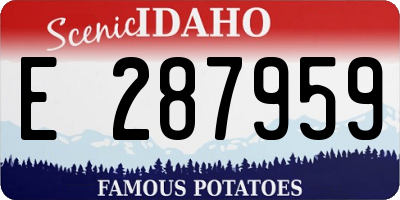 ID license plate E287959