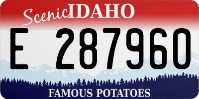 ID license plate E287960