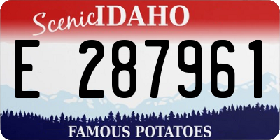ID license plate E287961