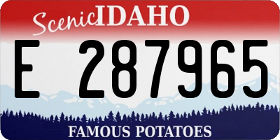 ID license plate E287965