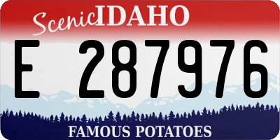 ID license plate E287976